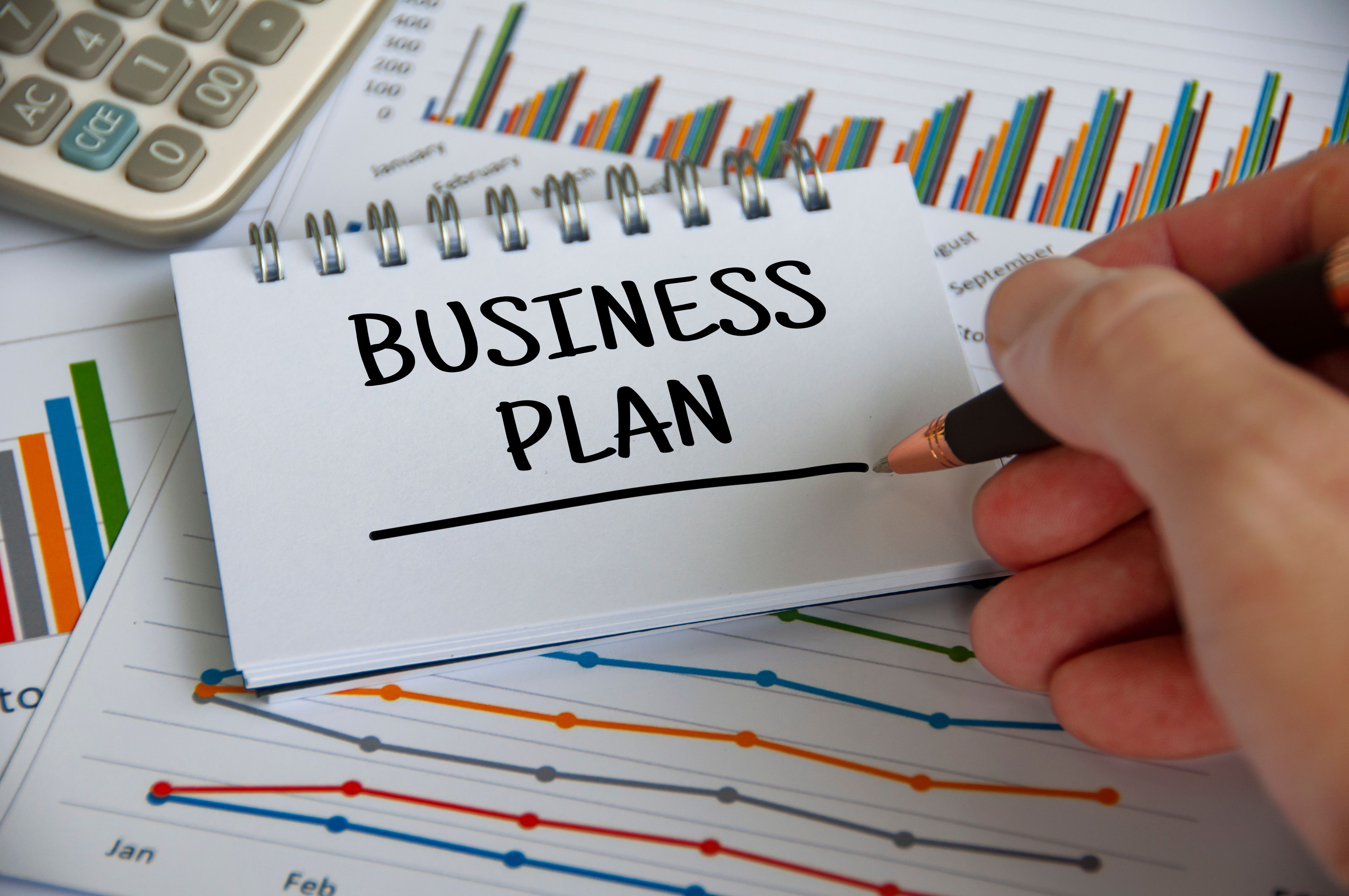 Business plan advising